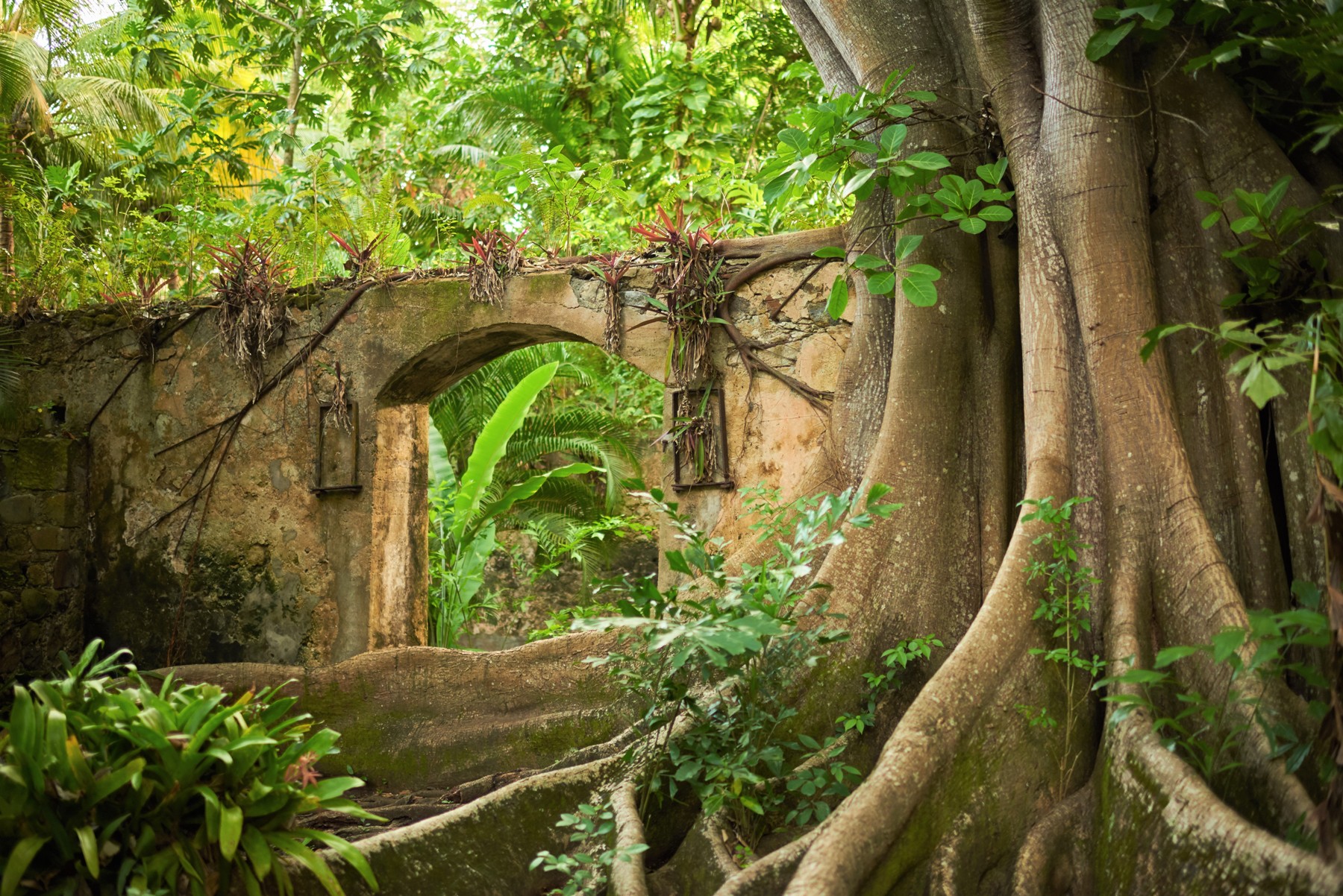Saint Lucia Balenbouche Estate industrial heritage