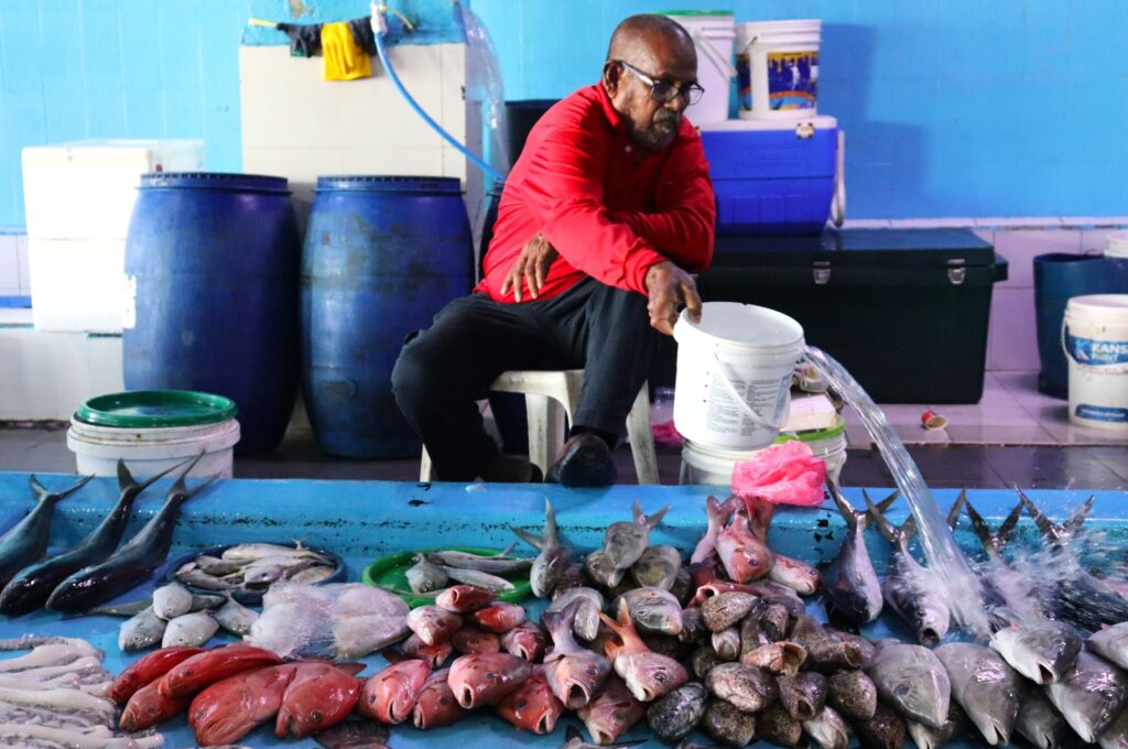 Male Maldives fish market