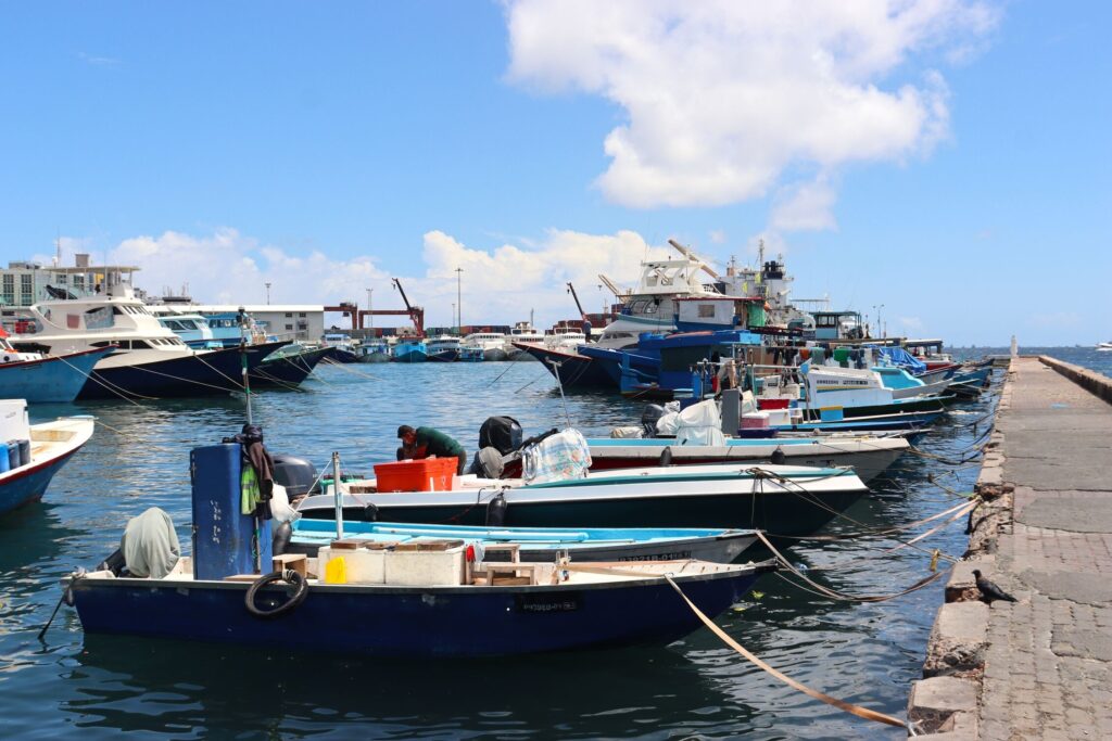 Male Maldives fishing boats harbour