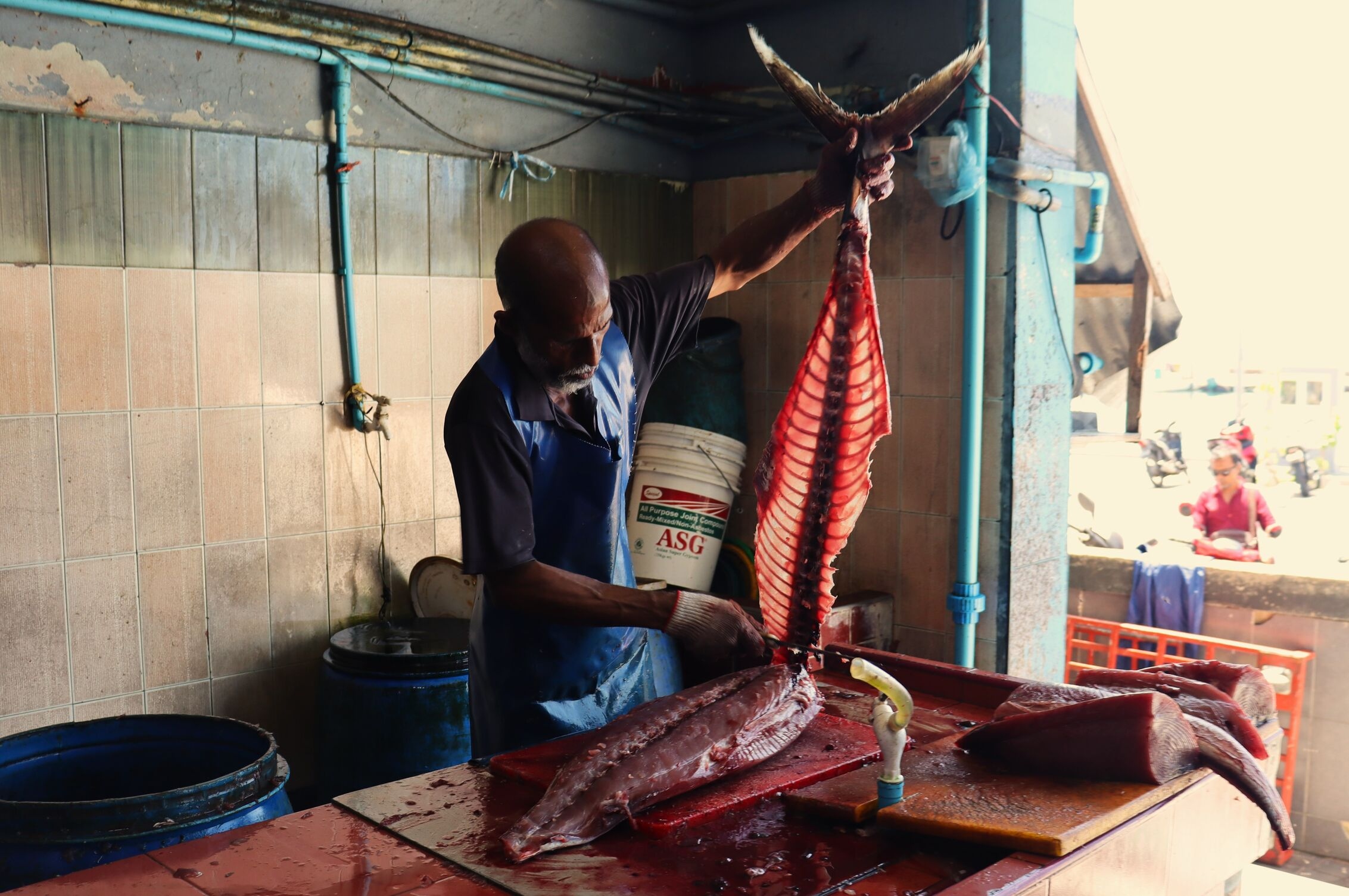 Filleting tuna, Male fish market, Maldives